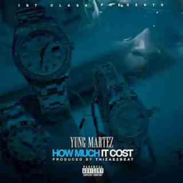 Instrumental: Yung Martez - How Much It Cost  (Produced By ThizAEzBeat)
